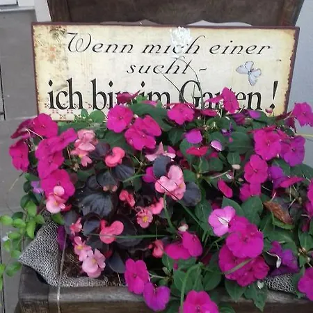 1 Waren Mueritz - Haus Buchen Am Tiefwarensee - 1 Zi *